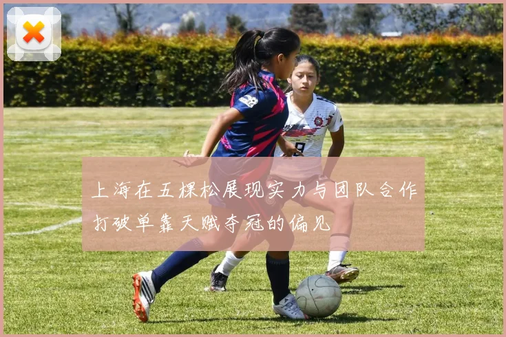 上海在五棵松展现实力与团队合作打破单靠天赋夺冠的偏见