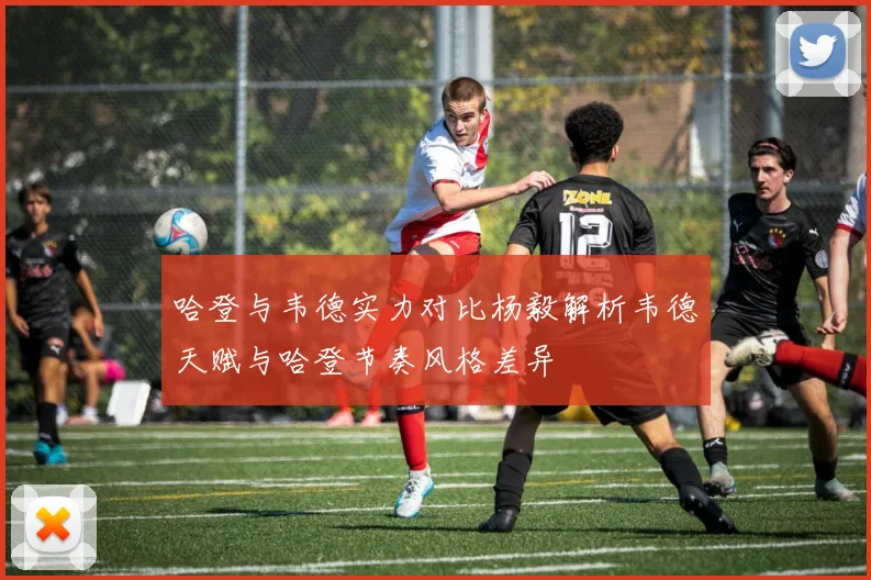 哈登与韦德实力对比杨毅解析韦德天赋与哈登节奏风格差异